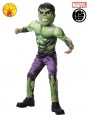Boys Hulk Deluxe Costume  cl6931