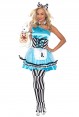 Alice In Wonderland Costumes - Alice in Wonderland Ladies Disney Fairytale Halloween Fancy Dress Adult Costume