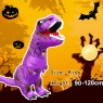 Purple Kids T-Rex Blow up Dinosaur Inflatable Costume