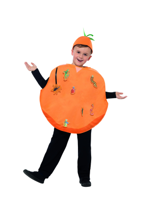 Kids Roald Dahl James And The Giant Peach Costume Boys Girls Book Week Fruits