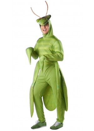 Adult Praying Mantis Insect Costume