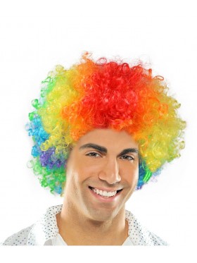 Rainbow Funky Afro Wig