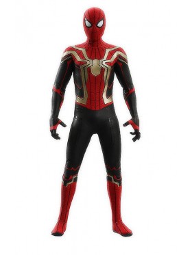 Adult and Boys Golden The Iron Spider-man costume