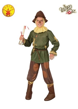 The Wizard of Oz Scarecrow Kids Costume cl886490
