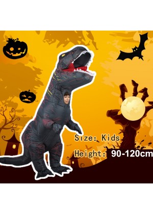 Grey Kids T-Rex Blow up Dinosaur Inflatable Costume