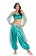Ladies Arabian Jasmine Princess Belly Dancer Costume tt3241