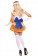 Ladies Sailor Moon Venus Costume