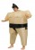 Sumo inflatable costume 2014 5