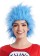 Adult Dr Seuss Cat In The Hat Blue ladies Wig pp1013