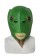 Green Fish Head Mask Costume Accessory