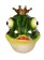 Unisex Animal Frog Prince Mask