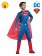Kids Superman Classic Muscle Costume cl2578