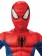Boys Spider-man Duluxe Costume