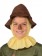 The Wizard of Oz Scarecrow Kids Costume