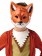 Boys Fantastic Mr Fox Costume