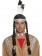 Native American Indian Maiden Pocahontas Wig With Plaits Braid With Feather