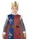 Kids King Arthur Prince Deluxe Medieval Knight Historical Fancy Dress Costume Outift Tunic