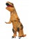 Brown Child T-Rex Blow up Inflatable Costume tt2001nkid-1