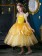 Girls Beauty and the Beast Belle Costume Dress
