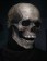 Adult Full Head Skull Skeleton Mask with Movable Jaw