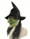 Halloween Horror Old Witch Mask with Hat Wig