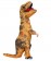 Brown Child T-Rex Blow up Dinosaur Costume tt2001nkid