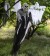 Hanging Reaper Skeleton halloween decoration