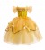 Girls Beauty and the Beast Belle Costume Dress