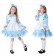 Alice in Wonderland Girls Costume Book Week Dress Kids Child