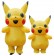 Adult and Kids Pikachu Inflatable Costume