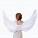 105cm X 45cm Feather Wings White Angel Fairy Adults Costume Outfit Party Cosplay