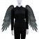 Black White Rainbow Angel Fairy Wings 75 x 105cm